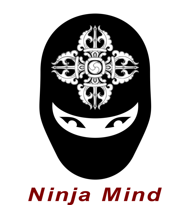 Ninja Mind Program