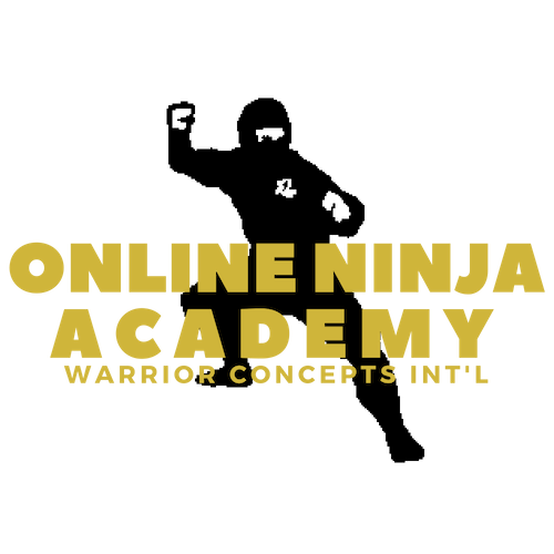 online ninja training