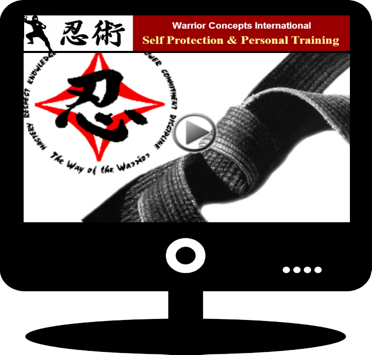 online ninja training program