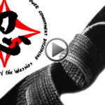 online ninja training program