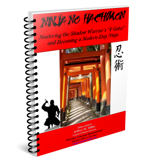 Ninjutsu Training Book