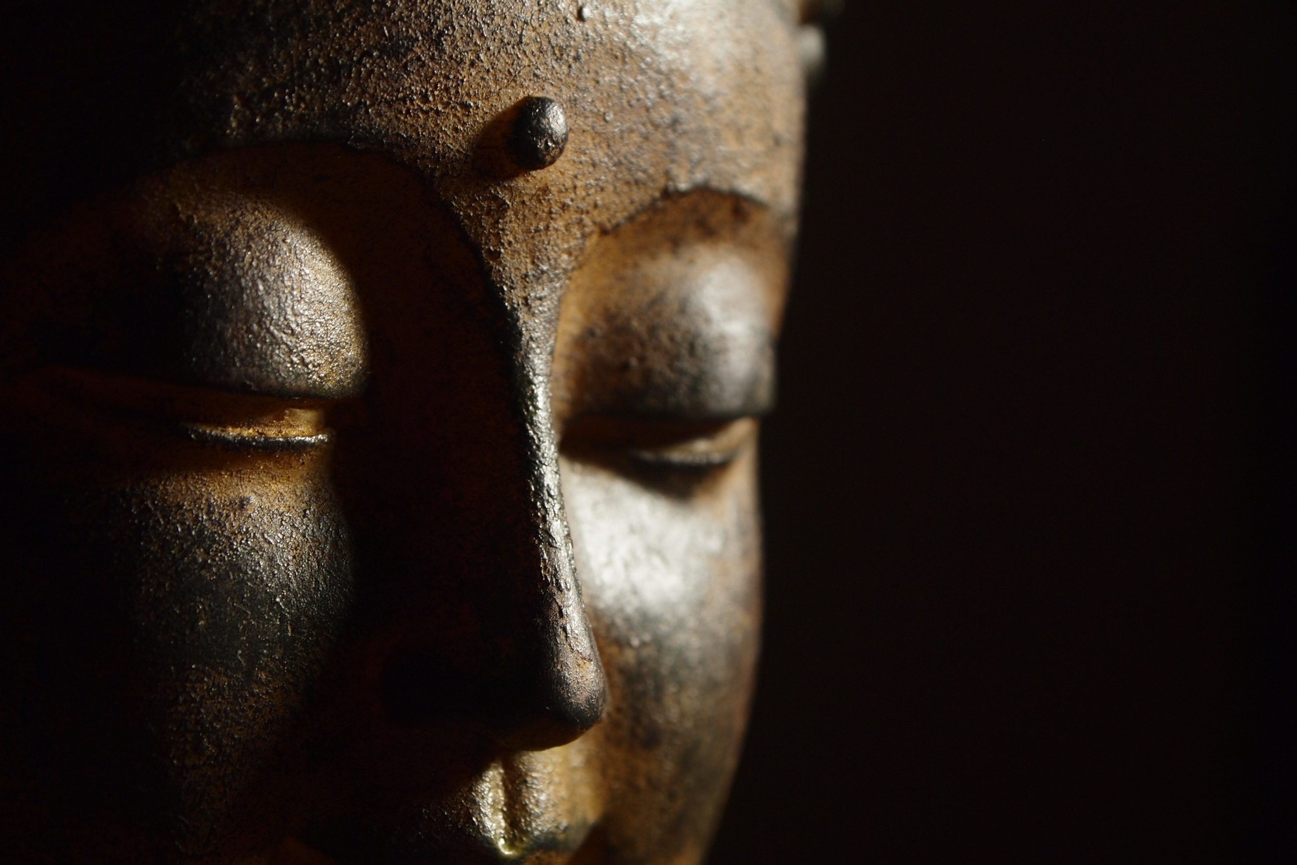 Buddhism for Beginners